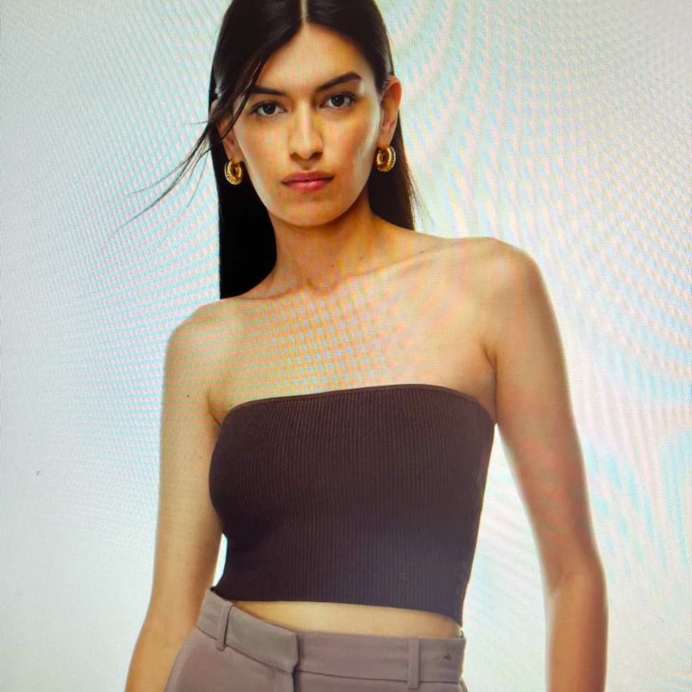 Babaton (Aritzia) Sculpt Knit Cropped Tube Top
